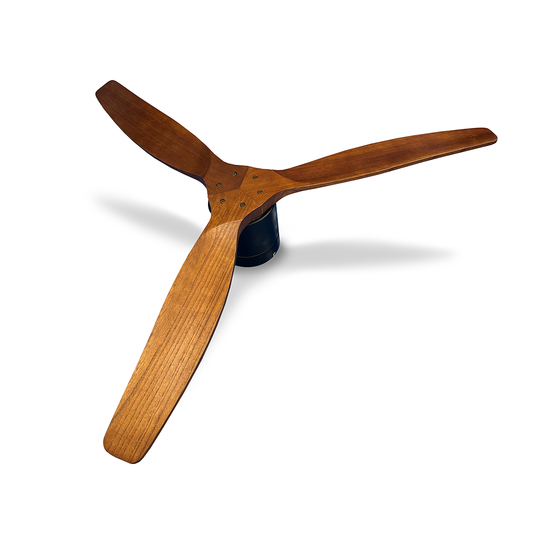 Ventilador de Techo Roma en Negro Matte con Aspas de Madera Nogal - Imagen 2